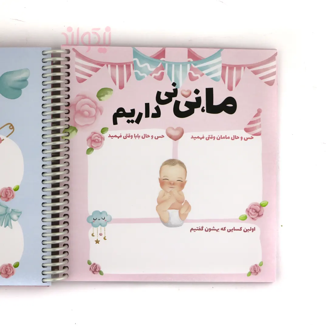 دفتر خاطرات نی نی دختر و پسر